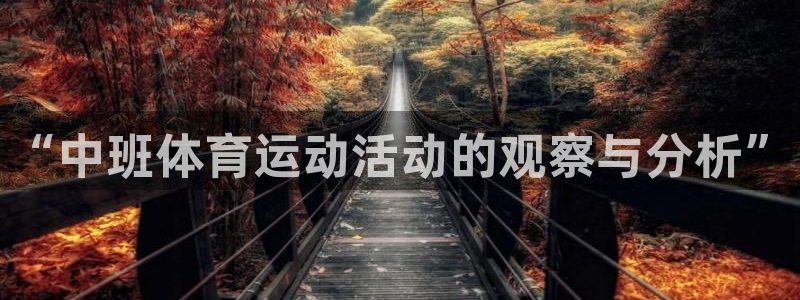 “中班体育运动活动的观察与分析”