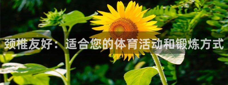 颈椎友好：适合您的体育活动和锻炼方式