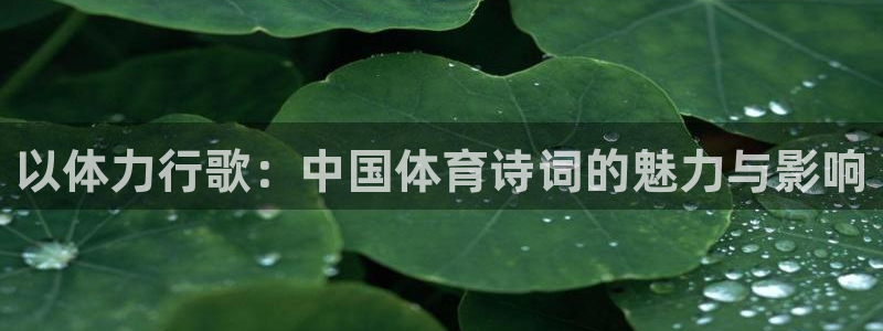 以体力行歌：中国体育诗词的魅力与影响