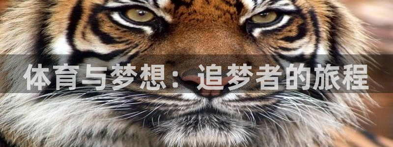 体育与梦想：追梦者的旅程