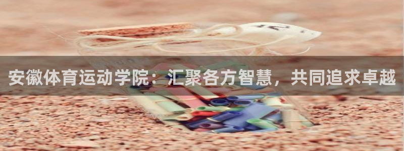 安徽体育运动学院：汇聚各方智慧，共同追求卓越