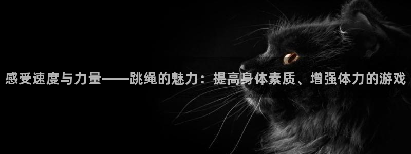 感受速度与力量——跳绳的魅力：提高身体素质、增强体力的游戏