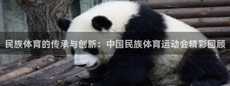 民族体育的传承与创新：中国民族体育运动会精彩回顾
