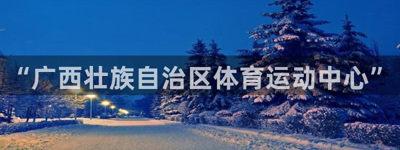 “广西壮族自治区体育运动中心”