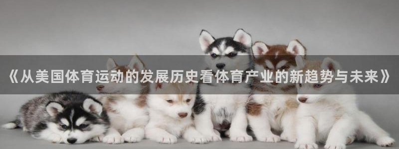 《从美国体育运动的发展历史看体育产业的新趋势与未来》