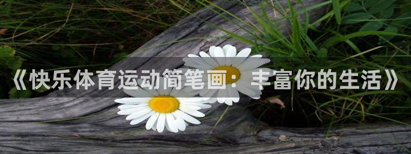 《快乐体育运动简笔画：丰富你的生活》