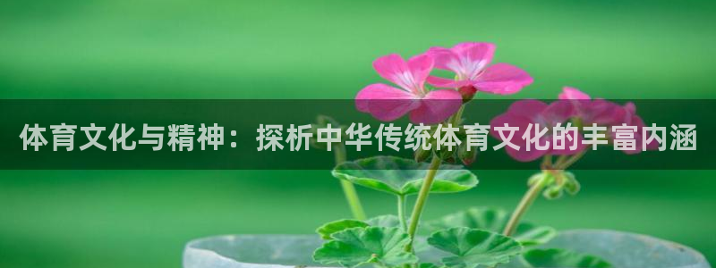 体育文化与精神：探析中华传统体育文化的丰富内涵