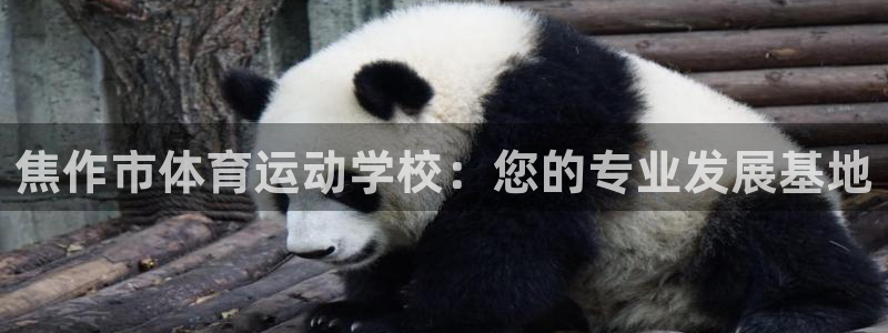 焦作市体育运动学校：您的专业发展基地