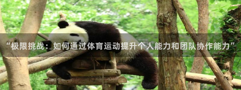 “极限挑战：如何通过体育运动提升个人能力和团队协作能力”