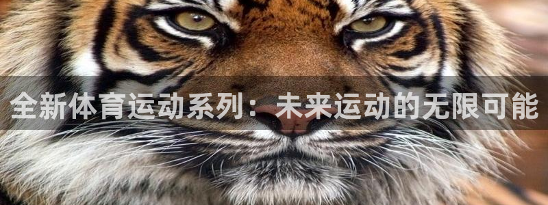 全新体育运动系列：未来运动的无限可能