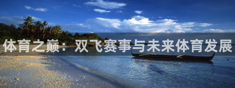 体育之巅：双飞赛事与未来体育发展
