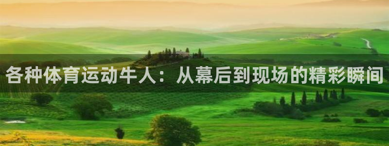 各种体育运动牛人：从幕后到现场的精彩瞬间