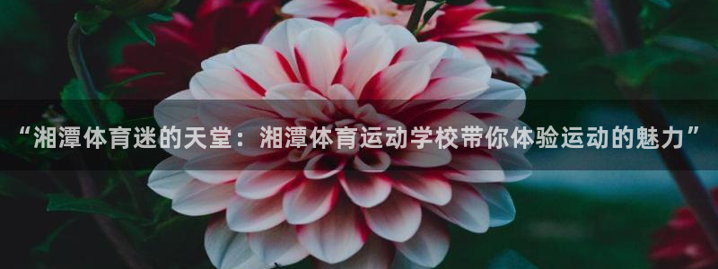 “湘潭体育迷的天堂：湘潭体育运动学校带你体验运动的魅力”