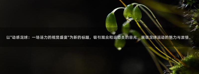 新闻图片
