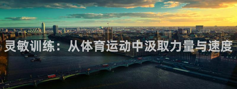 灵敏训练：从体育运动中汲取力量与速度