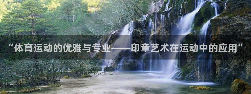 “体育运动的优雅与专业——印章艺术在运动中的应用”