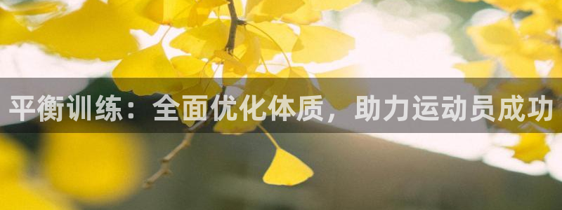 平衡训练：全面优化体质，助力运动员成功