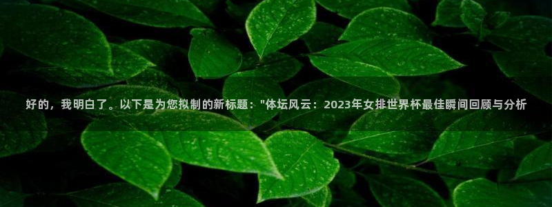 好的，我明白了。以下是为您拟制的新标题：\