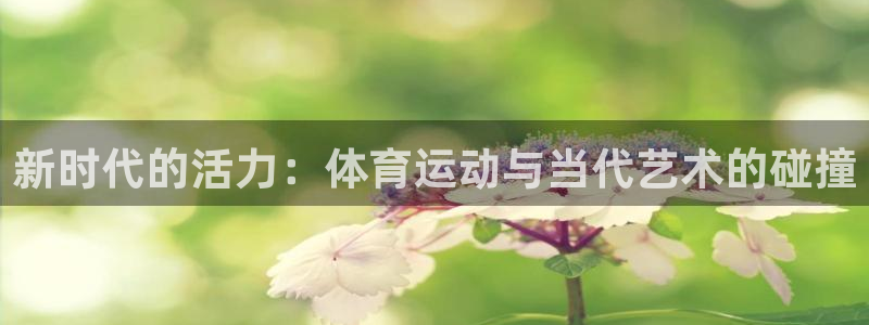 新时代的活力：体育运动与当代艺术的碰撞