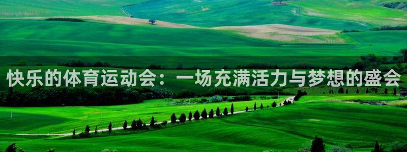 快乐的体育运动会：一场充满活力与梦想的盛会