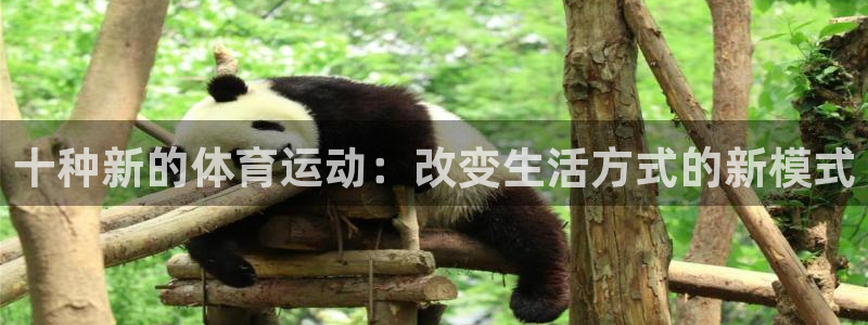 十种新的体育运动：改变生活方式的新模式