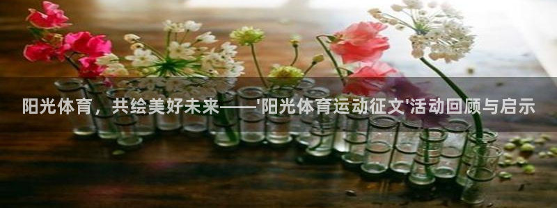 阳光体育，共绘美好未来——\'阳光体育运动征文\'活动回顾与启示