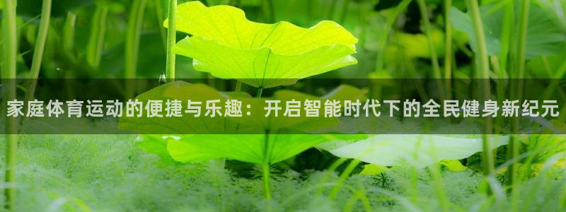 家庭体育运动的便捷与乐趣：开启智能时代下的全民健身新纪元